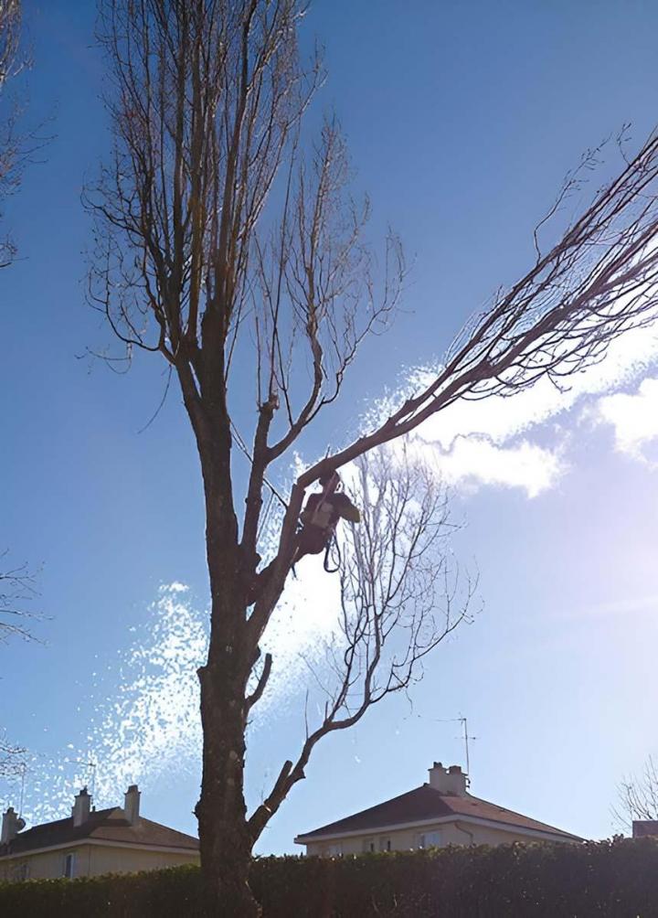 echnicien de travaux en hauteur Angers